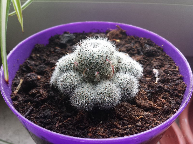 2014-05-25 15.39.39.jpg